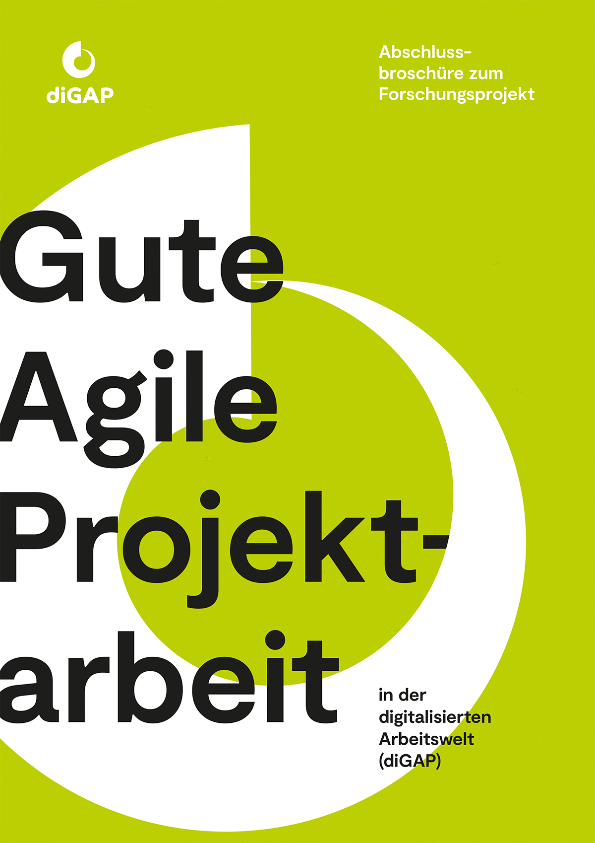 diGAP Abschlussbroschüre (Cover)